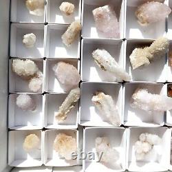 Citrine and White SPIRIT QUARTZ Cactus Crystal Wholesale 34 pcs CCFlat72