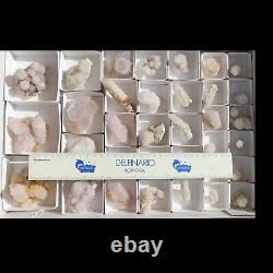 Citrine and White SPIRIT QUARTZ Cactus Crystal Wholesale 34 pcs CCFlat72