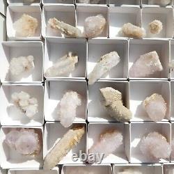 Citrine and White SPIRIT QUARTZ Cactus Crystal Wholesale 34 pcs CCFlat72