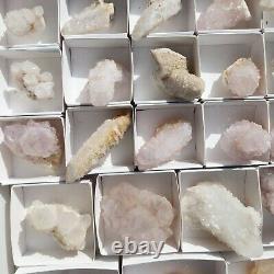 Citrine and White SPIRIT QUARTZ Cactus Crystal Wholesale 34 pcs CCFlat72