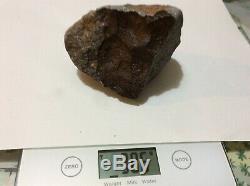Classified Achondrite meteorite NWA 12513 fresh monomict gabbroic eucrite 2378g