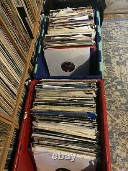 Collection of 300 Jungle / Drum & Bass vinyl records. Junglist Vinylist