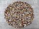 Crazy Lace Agate Semi Tumbled Gemstone Mini Chips 5 10 Mm, Wholesale Bulk Lot