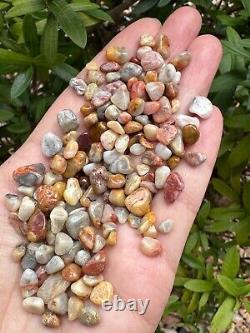 Crazy Lace Agate Semi Tumbled Gemstone Mini Chips 5 10 mm, Wholesale Bulk Lot