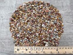 Crazy Lace Agate Semi Tumbled Gemstone Mini Chips 5 10 mm, Wholesale Bulk Lot