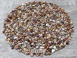 Crazy Lace Agate Semi Tumbled Gemstone Mini Chips 5 10 mm, Wholesale Bulk Lot