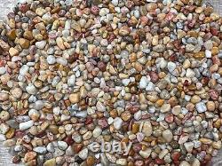 Crazy Lace Agate Semi Tumbled Gemstone Mini Chips 5 10 mm, Wholesale Bulk Lot