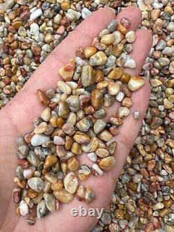 Crazy Lace Agate Semi Tumbled Gemstone Mini Chips 5 10 mm, Wholesale Bulk Lot