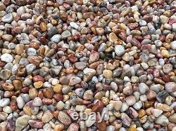 Crazy Lace Agate Semi Tumbled Gemstone Mini Chips 5 10 mm, Wholesale Bulk Lot