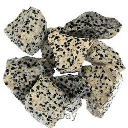 Dalmatian Jasper Rough Rocks for Tumbling Wholesale Stone Crystal (Mexico)