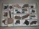 Dinosaur Bone Mosasaur Bone Texas Wholesale Lot 18pc Fossil Show Resale Lot1