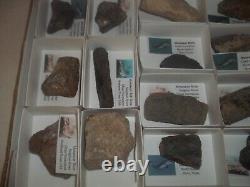 Dinosaur Bone Mosasaur Bone Texas Wholesale Lot 18pc Fossil Show Resale Lot1