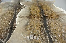 FALLOW DEER (DAMA DAMA) SKIN HIDE FUR PELT RUG TAXIDERMY HUNTING (set of 2)