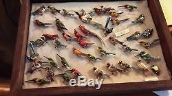 Fantastic Collection Over 60 Vintage Takahashi Bird Pins &, 2 Display Cases