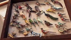 Fantastic Collection Over 60 Vintage Takahashi Bird Pins &, 2 Display Cases