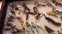 Fantastic Collection Over 60 Vintage Takahashi Bird Pins &, 2 Display Cases