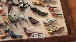 Fantastic Collection Over 60 Vintage Takahashi Bird Pins &, 2 Display Cases