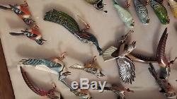 Fantastic Collection Over 60 Vintage Takahashi Bird Pins &, 2 Display Cases