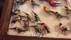 Fantastic Collection Over 60 Vintage Takahashi Bird Pins &, 2 Display Cases