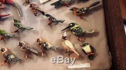 Fantastic Collection Over 60 Vintage Takahashi Bird Pins &, 2 Display Cases