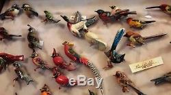 Fantastic Collection Over 60 Vintage Takahashi Bird Pins &, 2 Display Cases