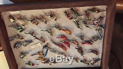 Fantastic Collection Over 60 Vintage Takahashi Bird Pins &, 2 Display Cases