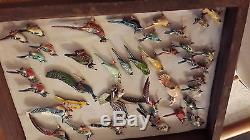 Fantastic Collection Over 60 Vintage Takahashi Bird Pins &, 2 Display Cases