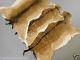 Fallow Deer Skins Furs Hides Rugs Taxidermy Home Decor Fireplace (set Of 3 Furs)