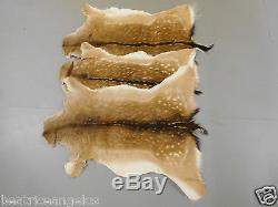Fallow Deer Skins Furs Hides Rugs Taxidermy Home Decor Fireplace (set of 3 furs)