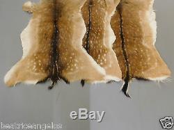 Fallow Deer Skins Furs Hides Rugs Taxidermy Home Decor Fireplace (set of 3 furs)