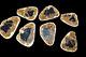 Fire Palm Slabs Seven 6 Inch Fossils Wholesale Lot Very Rare And Beautiful