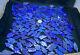 Gem Quality Carved Leaf Lapis Lazuli Wholesale Crystals 158 Pcs Lot Art Tiles