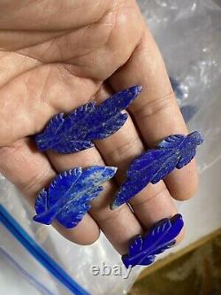 GEM QUALITY CARVED LEAF Lapis Lazuli wholesale crystals 158 PCs lot art tiles