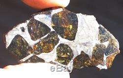 GORGEOUS 20g ETCHED FUKANG PALLASITE METEORITE FULL OF OLIVINE! WHOLESALE PRICE