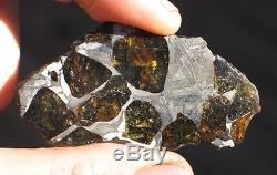 GORGEOUS 20g ETCHED FUKANG PALLASITE METEORITE FULL OF OLIVINE! WHOLESALE PRICE