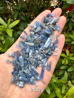 Grade A++ Blue Kyanite Semi Tumbled Gemstone Mini Chips 5-18 mm, Wholesale Bulk
