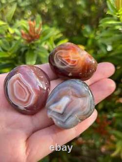 Grade A++ Botswana Agate Pebble, Botswana Agate Palm Stones, Wholesale Bulk Lot