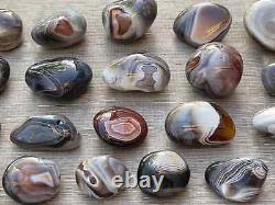 Grade A++ Botswana Agate Pebble, Botswana Agate Palm Stones, Wholesale Bulk Lot