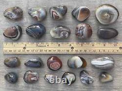 Grade A++ Botswana Agate Pebble, Botswana Agate Palm Stones, Wholesale Bulk Lot