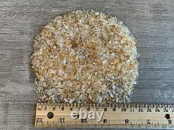 Grade A++ Citrine Semi Tumbled Gemstone Mini Chips 3 5 mm, Wholesale Bulk Lot