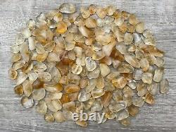 Grade A++ Citrine Tumbled Stone, 0.5-1 Tumbled Heated Citrine, Wholesale Bulk
