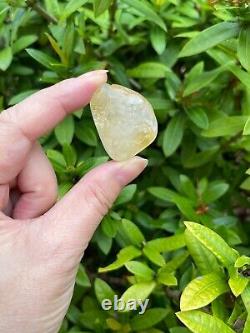 Grade A++ Citrine Tumbled Stone, 0.5-1 Tumbled Heated Citrine, Wholesale Bulk
