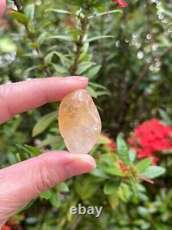 Grade A++ Citrine Tumbled Stone, 0.75-1.25 Tumbled Heated Citrine, Wholesale Lot