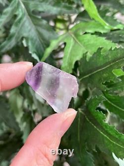 Grade A++ Fluorite Small Raw Natural Stone, Rough Rainbow Chip. Wholesale Bulk Lot