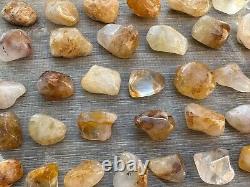 Grade A++Golden Healer Quartz Tumbled Stones 0.75-1.25, Wholesale Bulk Lot