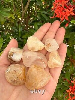 Grade A++Golden Healer Quartz Tumbled Stones 0.75-1.25, Wholesale Bulk Lot