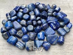 Grade A++ Lapis Lazuli Tumbled Stone, 0.65-1.5 Inch Lapis Crystal, Wholesale Bulk
