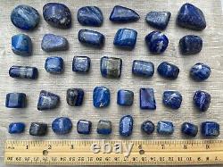 Grade A++ Lapis Lazuli Tumbled Stone, 0.65-1.5 Inch Lapis Crystal, Wholesale Bulk