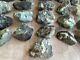 Grade A++ Large Emerald Rough Stones, 2 3 Inch Raw Emerald, Wholesale Bulk Lot