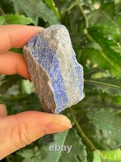 Grade A+ Large Lapis Lazuli Raw Stone 2-3 Inches, Wholesale Bulk Lot